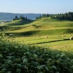 photo jura