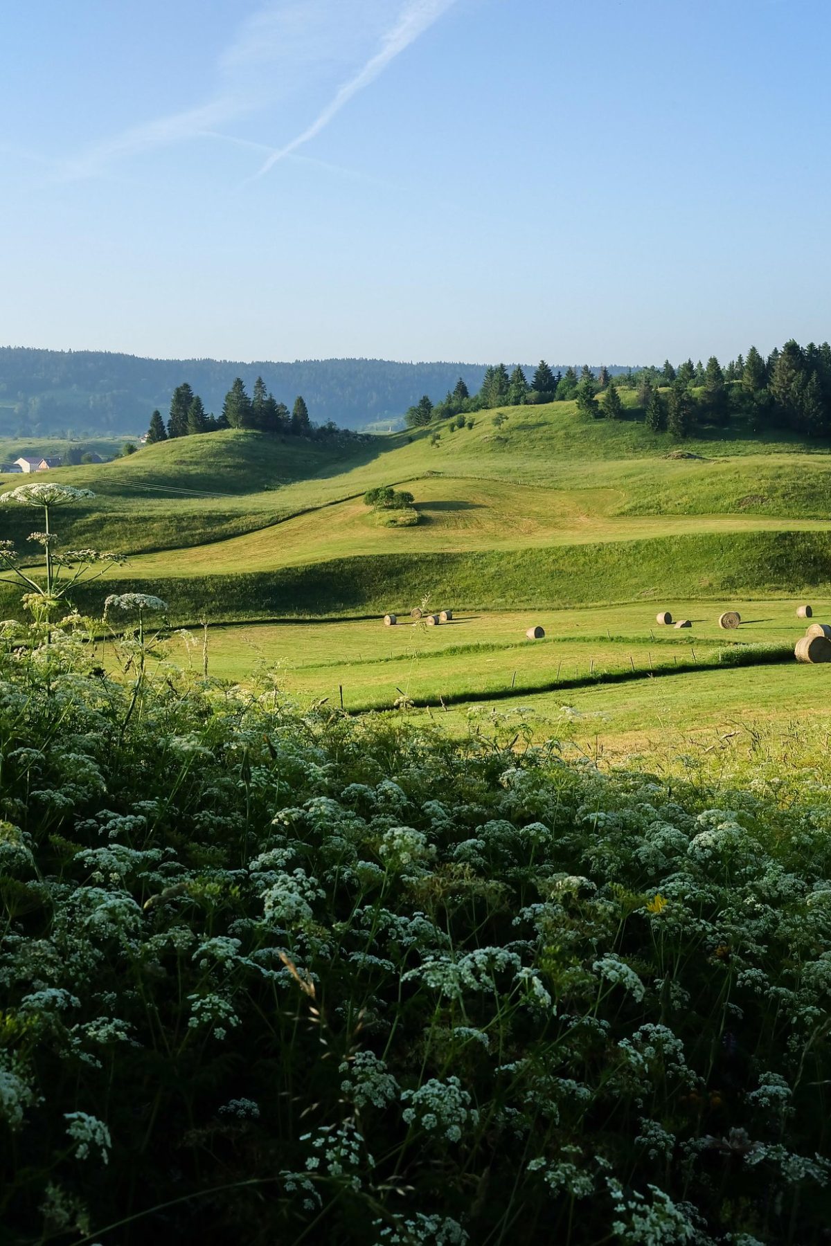 photo jura